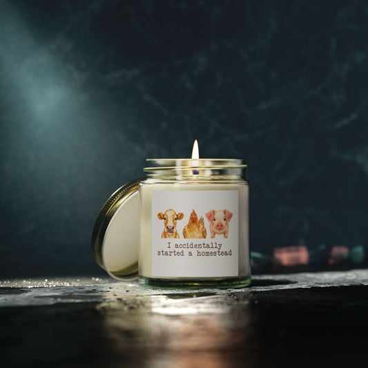 I Accidentally Started a Homestead Coconut Apricot Wax Candle