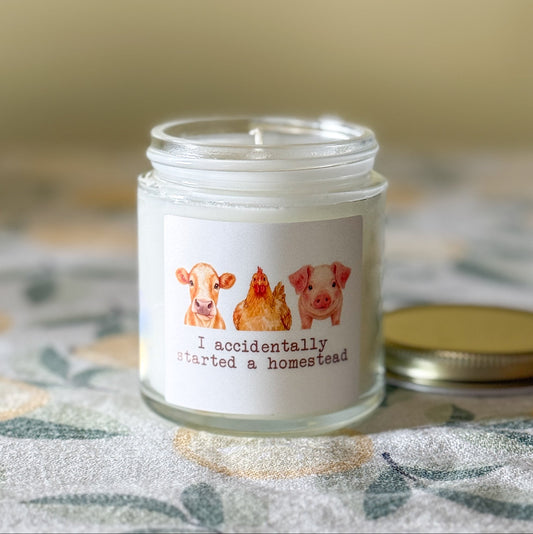 Funny homestead candle in a clear glass jar, I accidentally started a homestead, coconut apricot wax